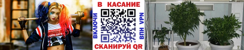 Магазины продажи наркотиков Нижний Новгород Кокаин АМФЕТАМИН Галлюциногенные грибы Меф мяу мяу