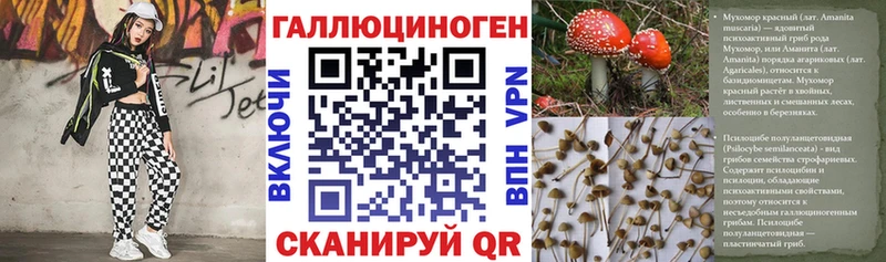 Галлюциногенные грибы мицелий  Нижний Новгород 